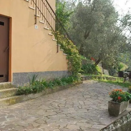 Oliva